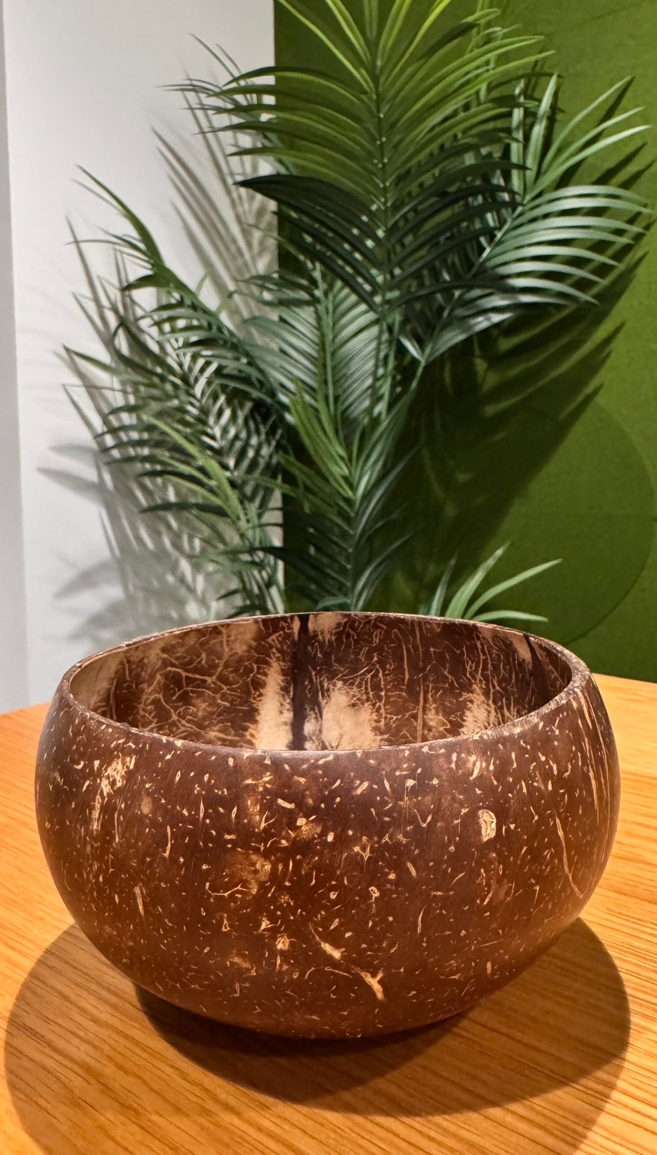 Jumbo Coconut Shell Bowl & Spoon Set