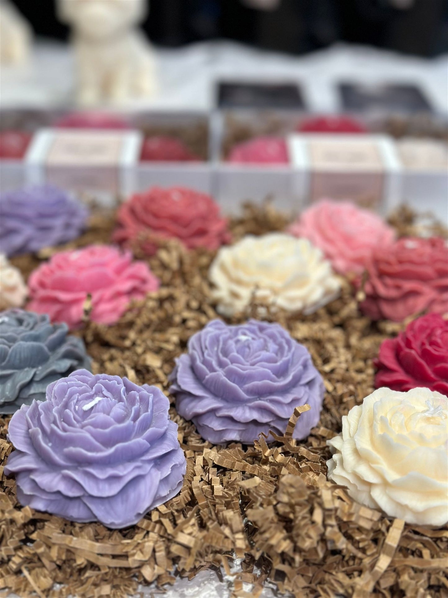 Petals & Wick - Salut Adore -