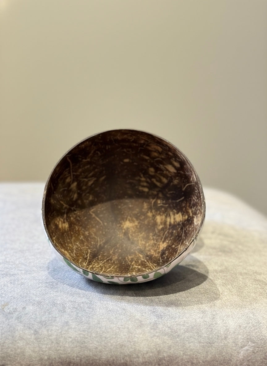 Hand Painted Coconut Shell Bowls