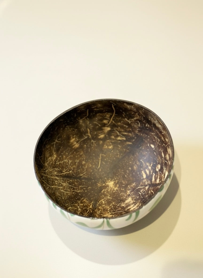 Hand Painted Coconut Shell Bowls