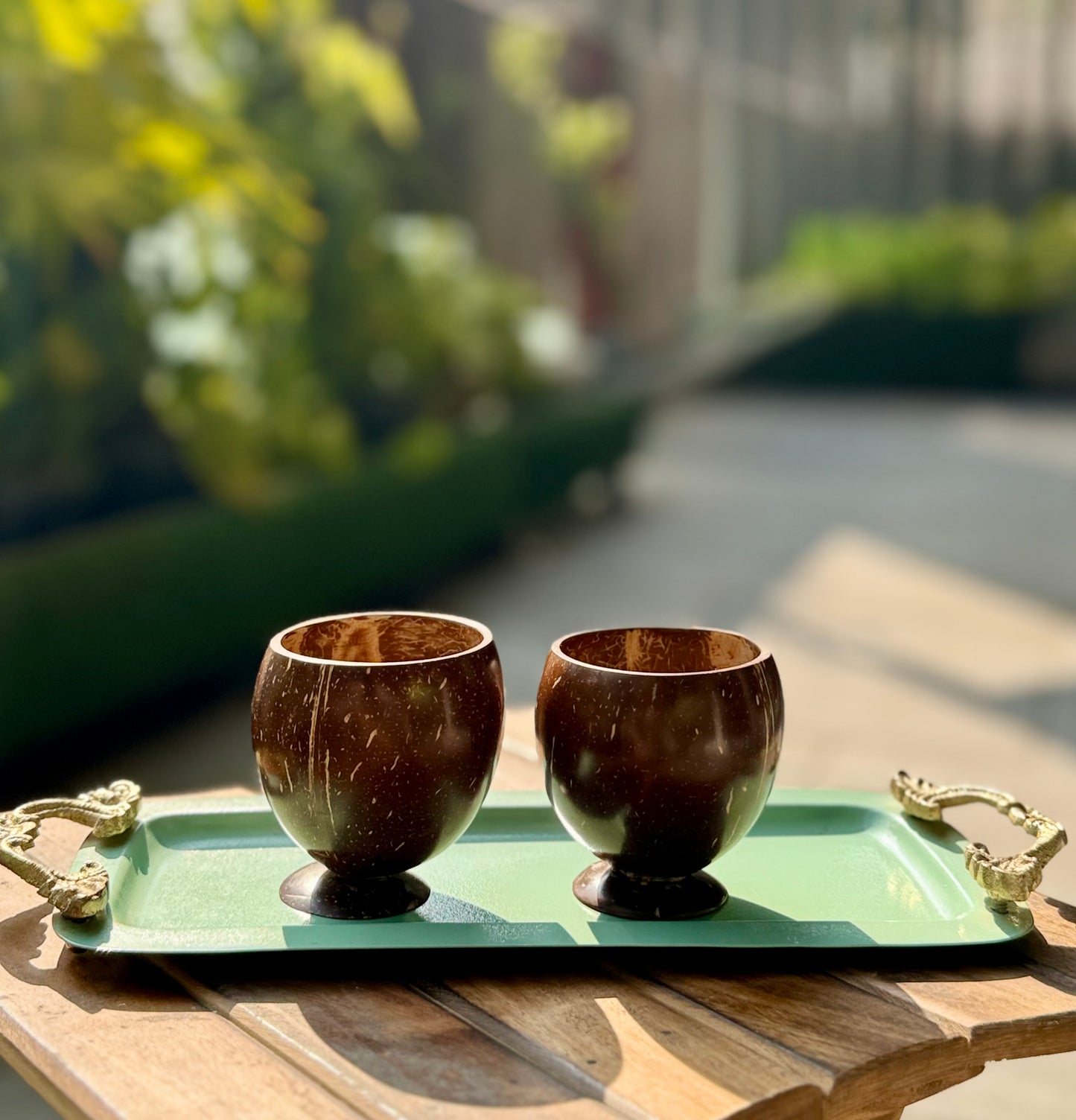 Coconut Shell Cups