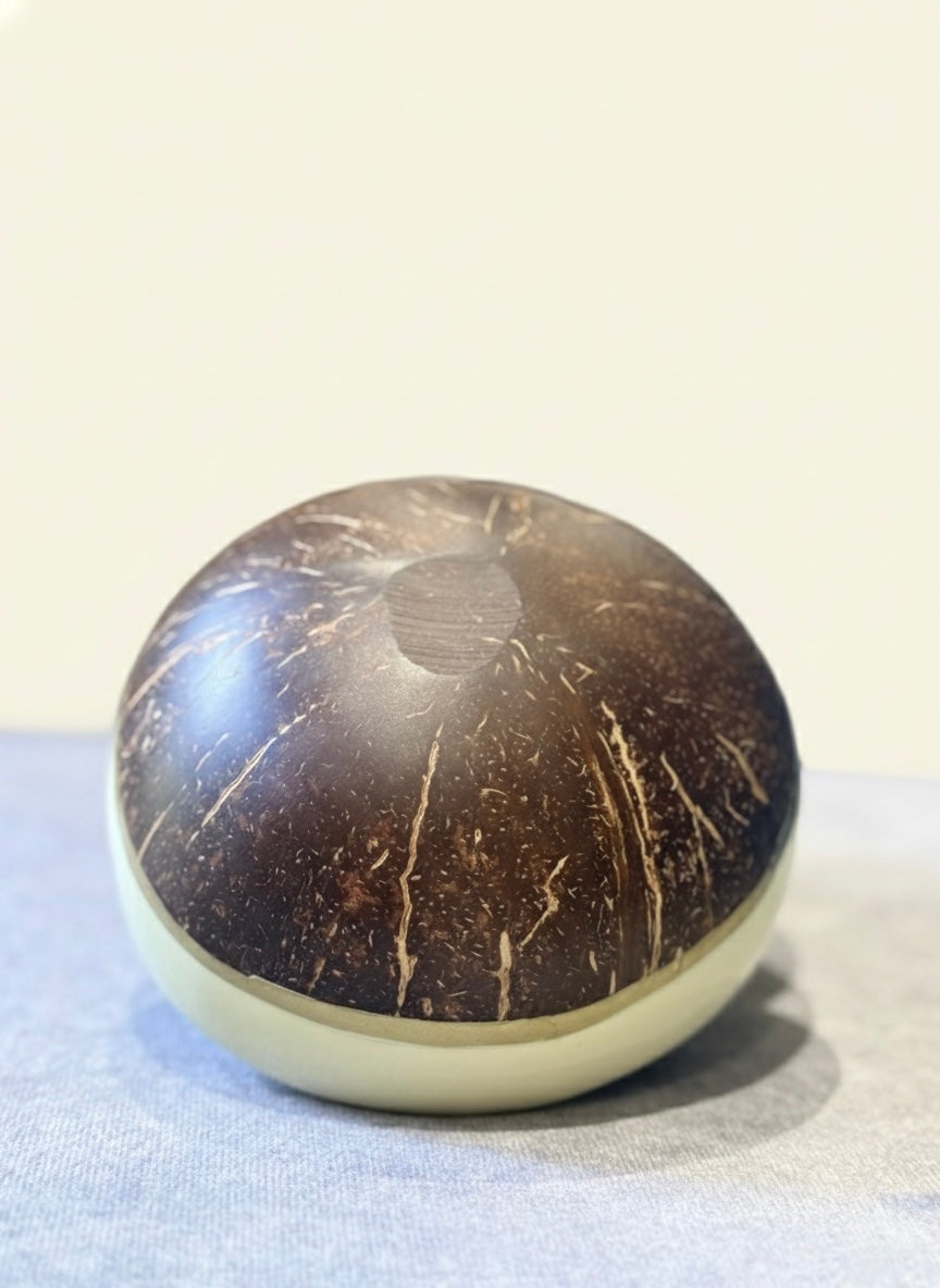 Hand Painted Ivory Coconut Shell Bowl