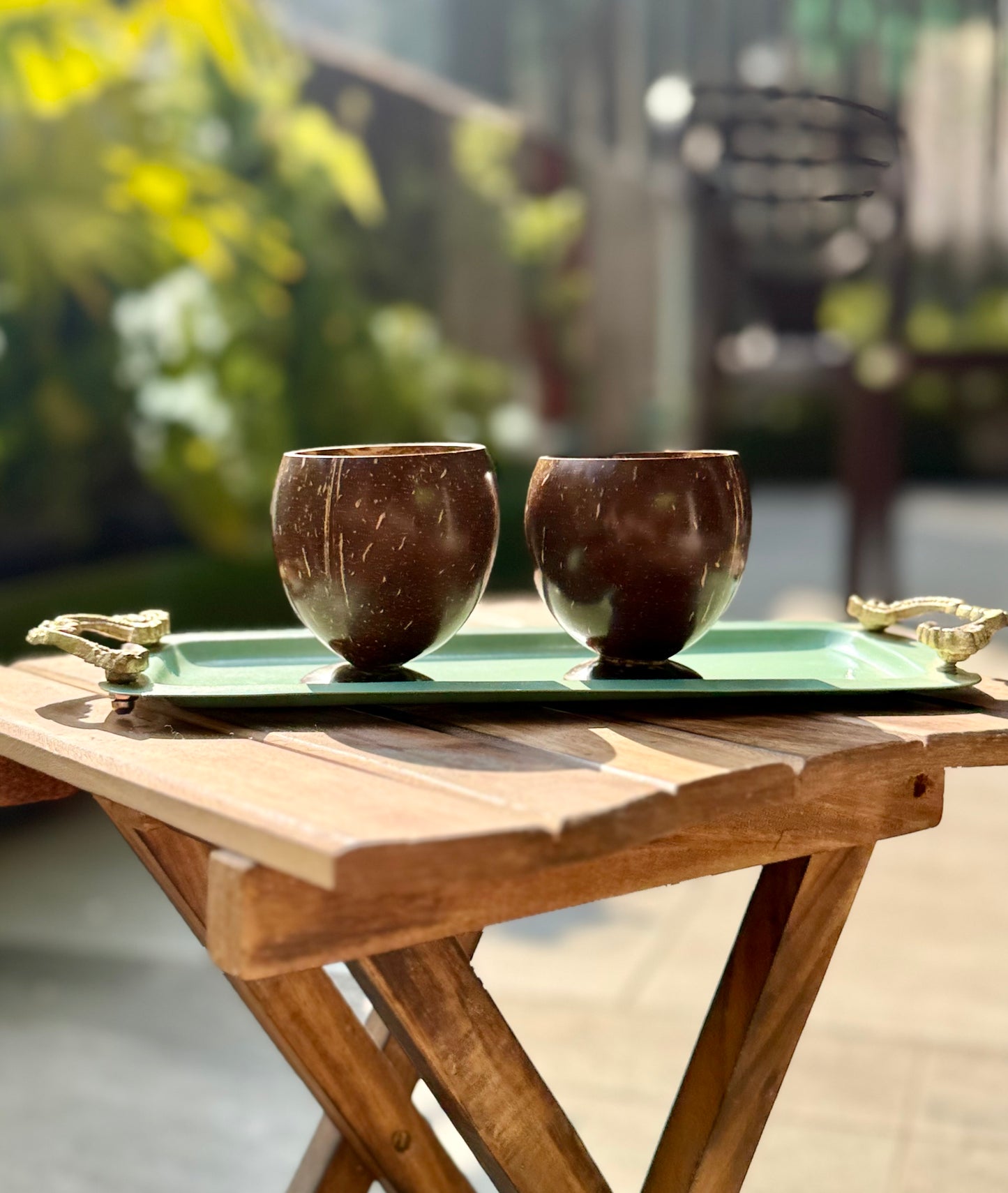 Coconut Shell Cups