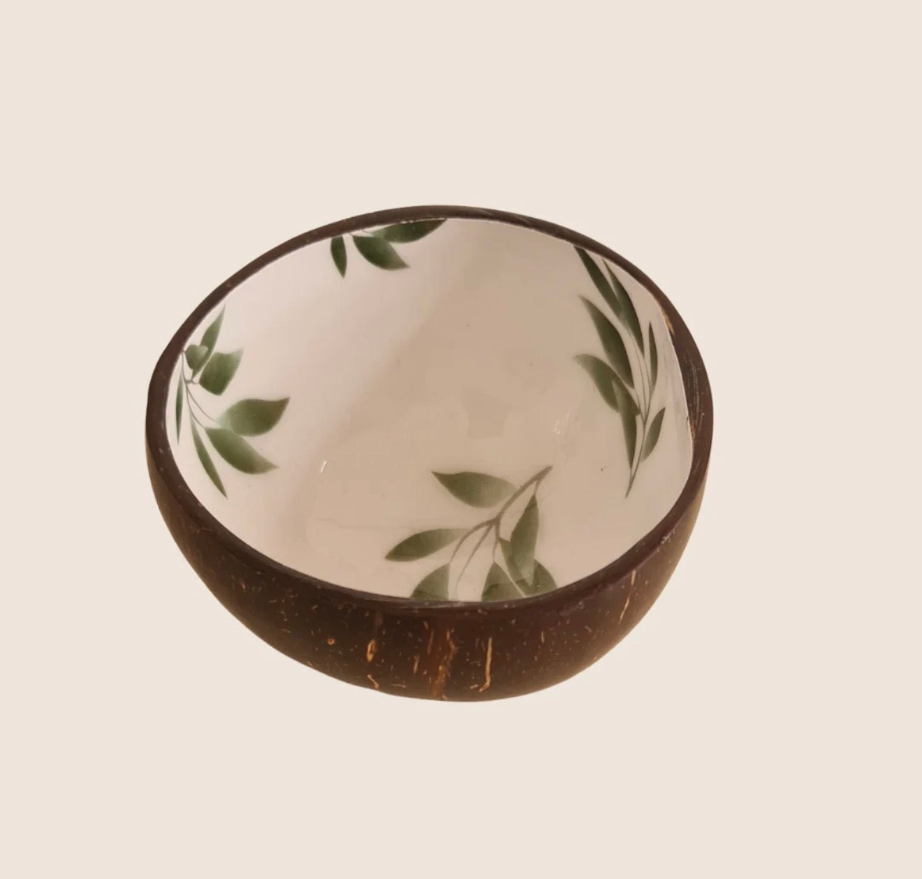 Handcrafted Coconut Bowl Set with Wooden Tray