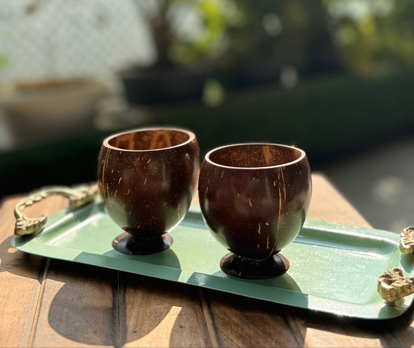 Coconut Shell Cups