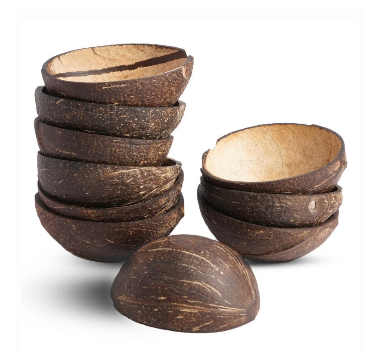 Natural Oval Shell Bowls