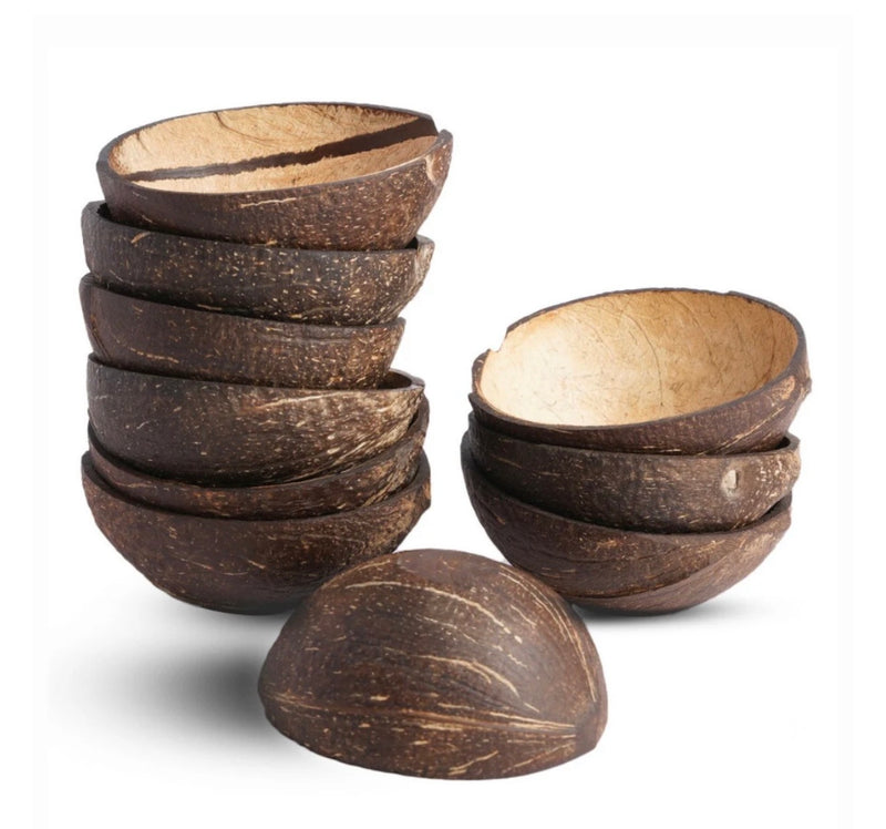 Natural Oval Shell Bowls