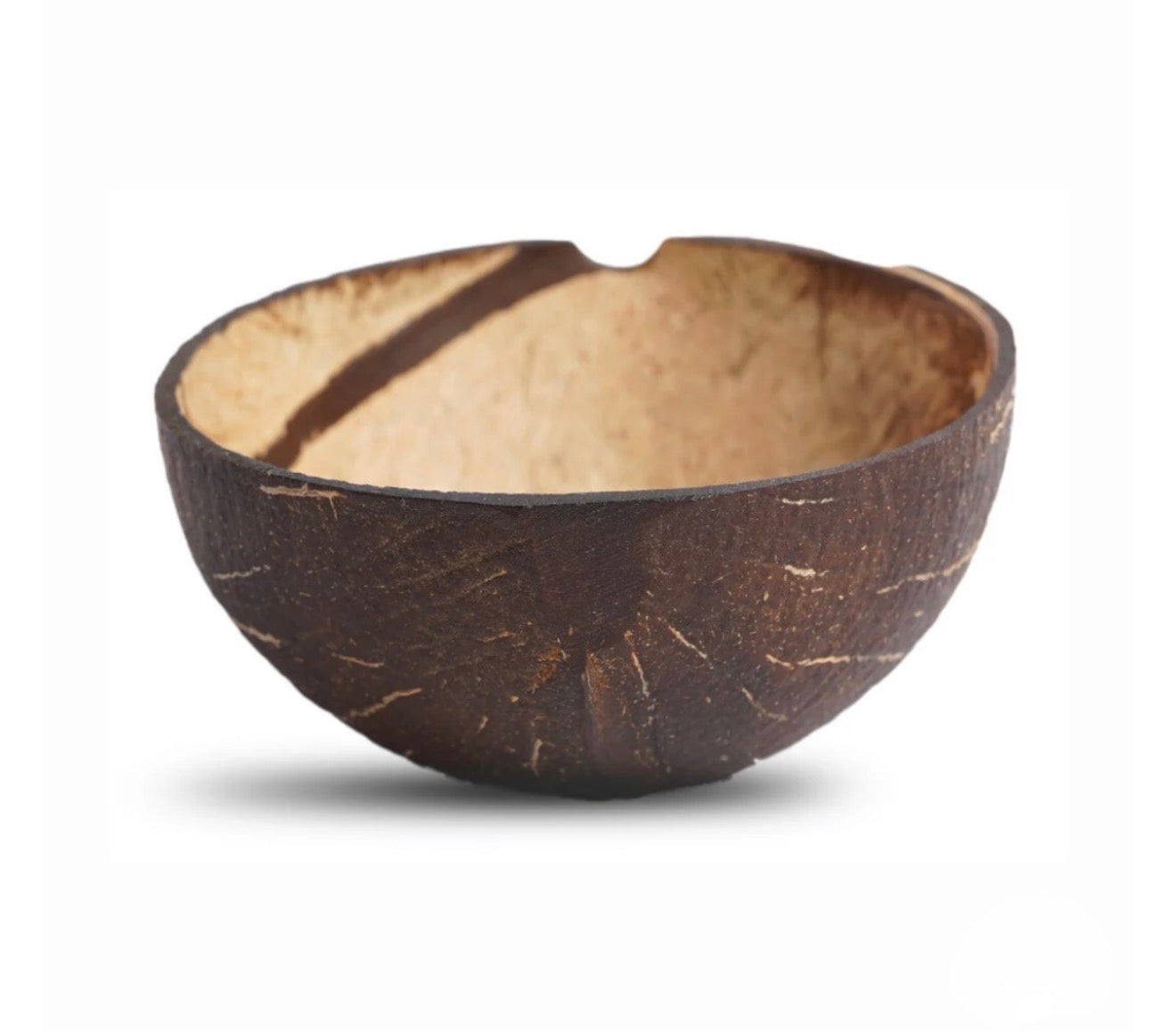 Natural Oval Shell Bowls