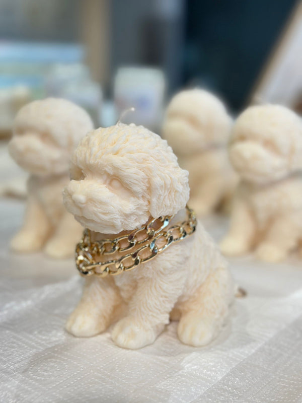 Paws & Flames - Salut Adore -  